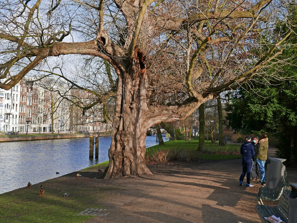 um par de pessoas de pé ao lado de uma árvore perto de um corpo de água