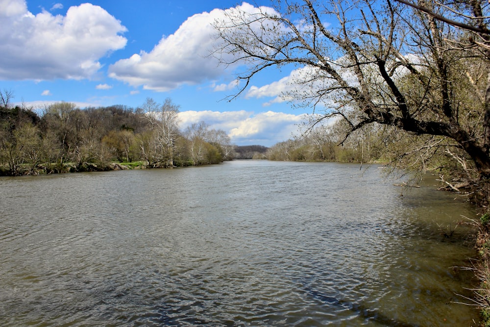 a large body of water surrounded by trees