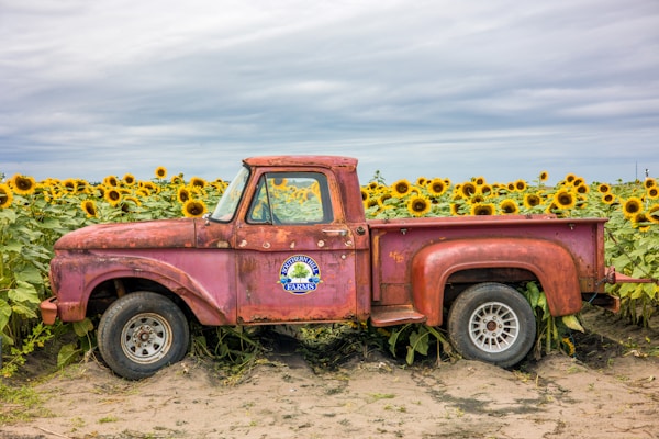 Best Weather & Seasons to Visit Clermont - Month-by-Month Guide
