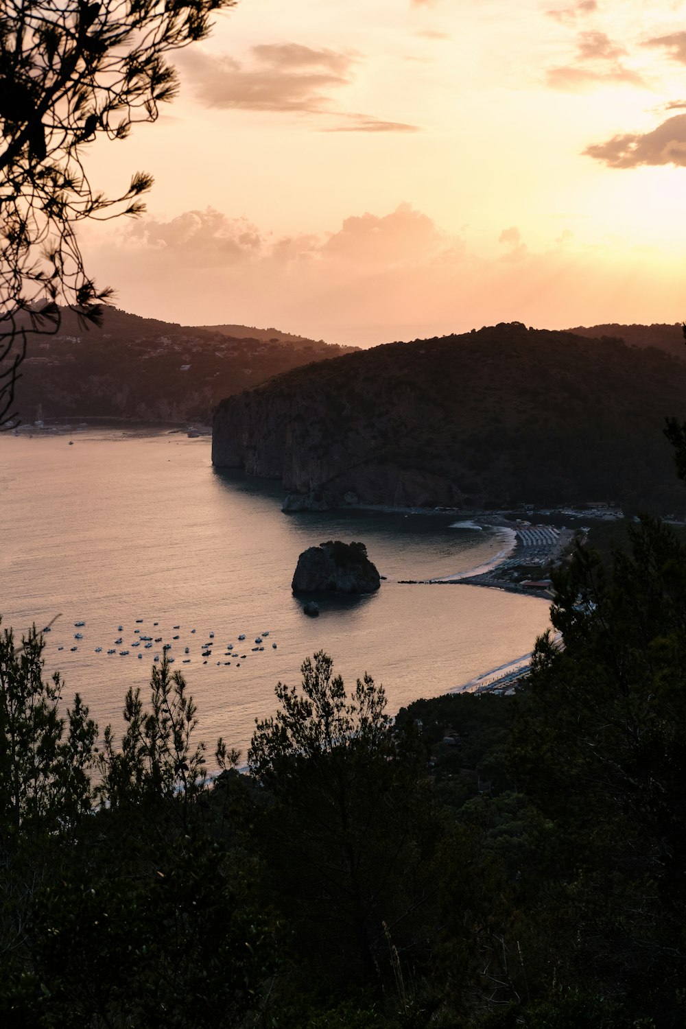 a body of water surrounded by trees and mountains