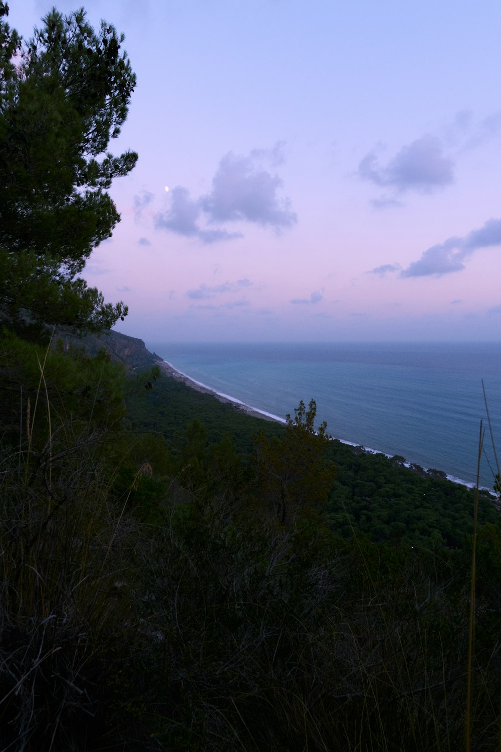 a view of the ocean from the top of a hill