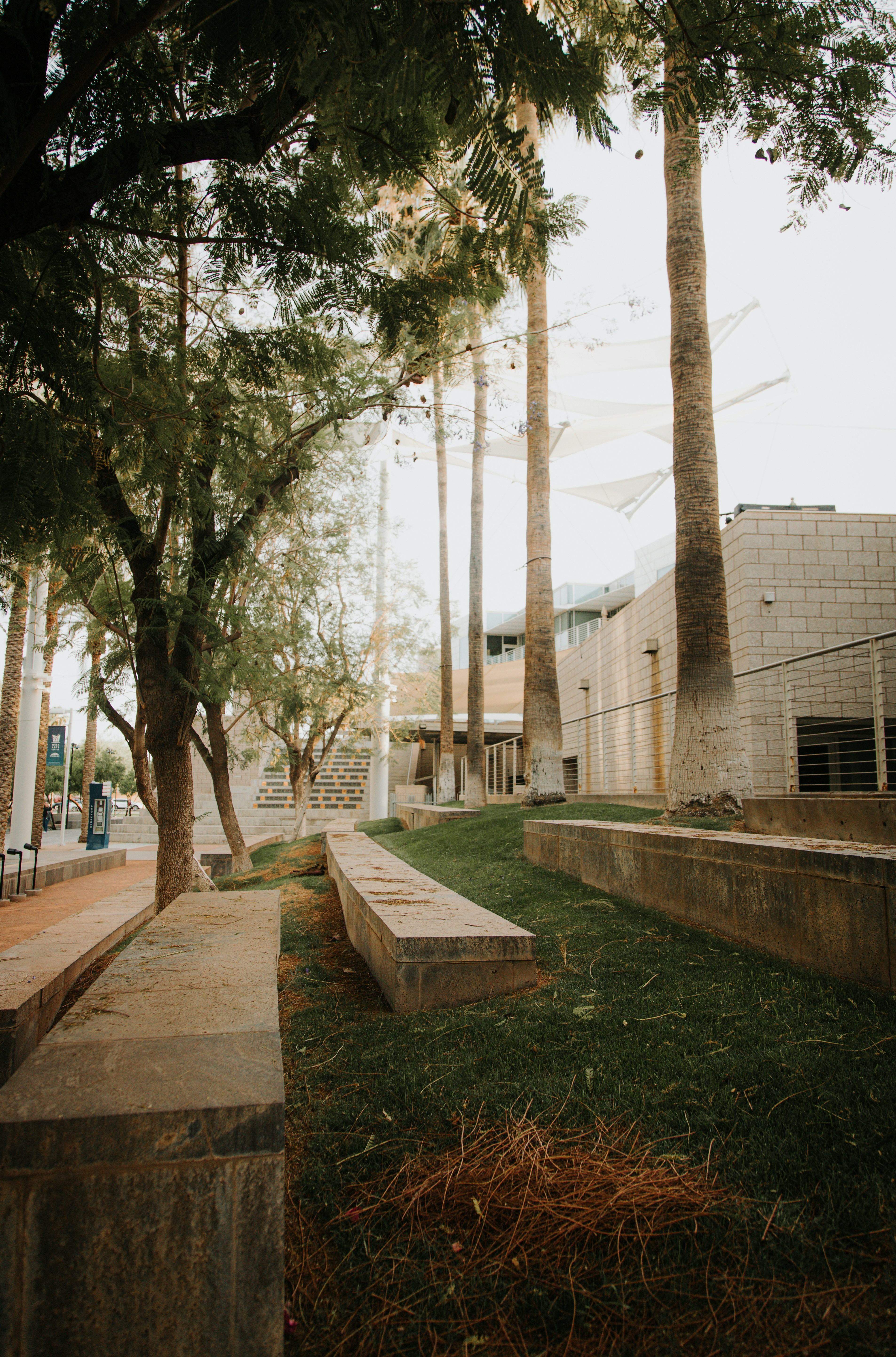 Photo by jeffersonsees