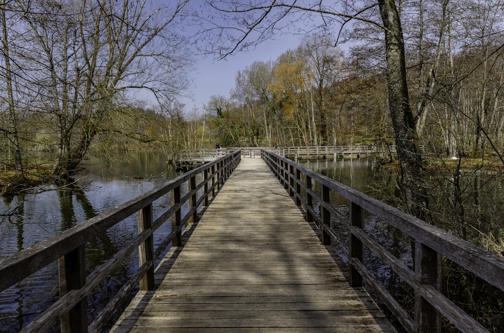 a wooden bridge over a river surrounded by trees