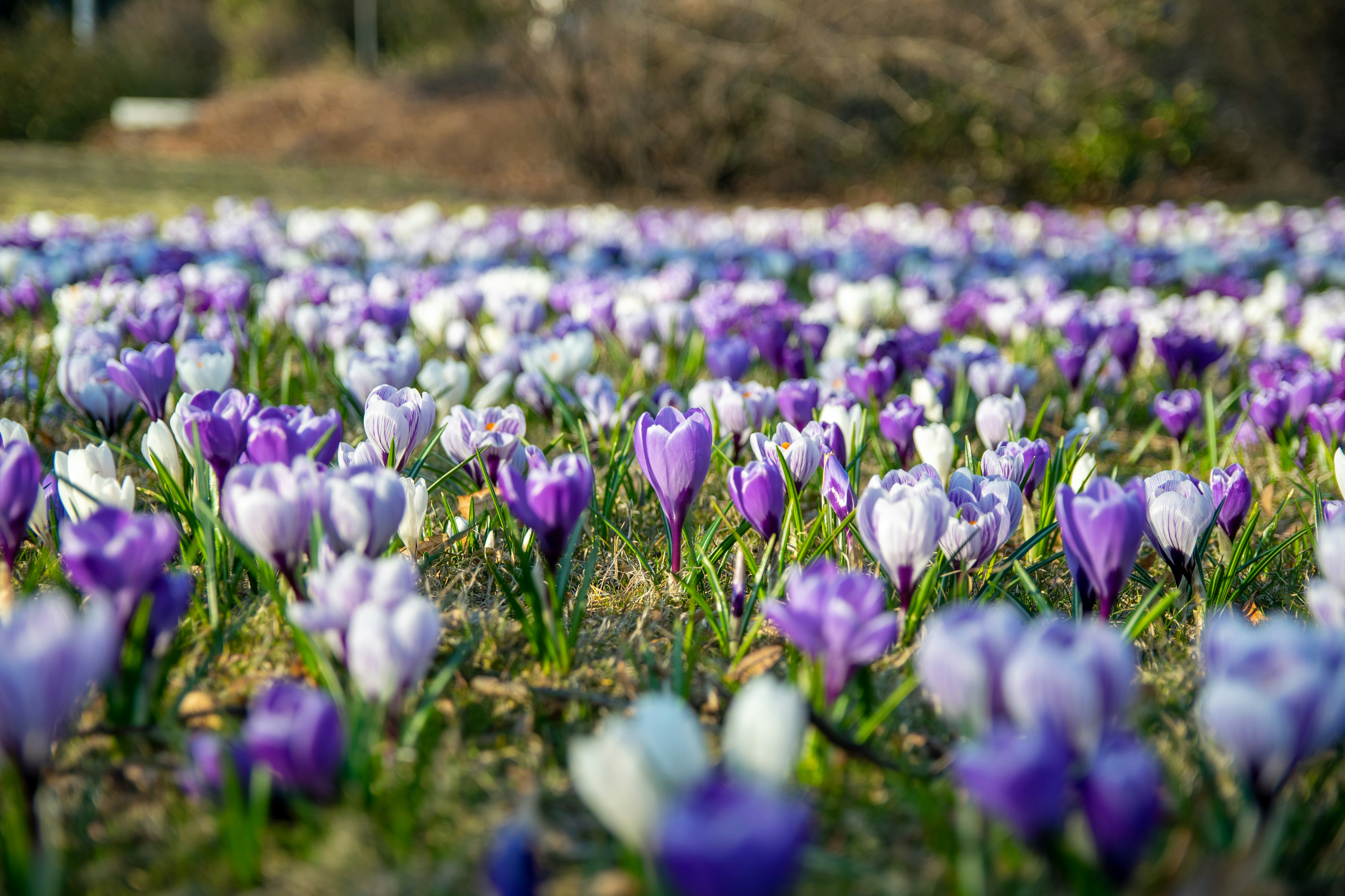 Photo by anastasiya_dal