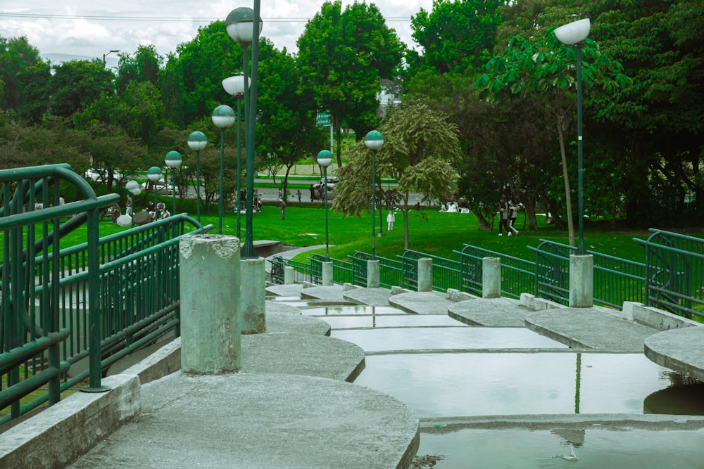 Un parque lleno de muchos árboles verdes