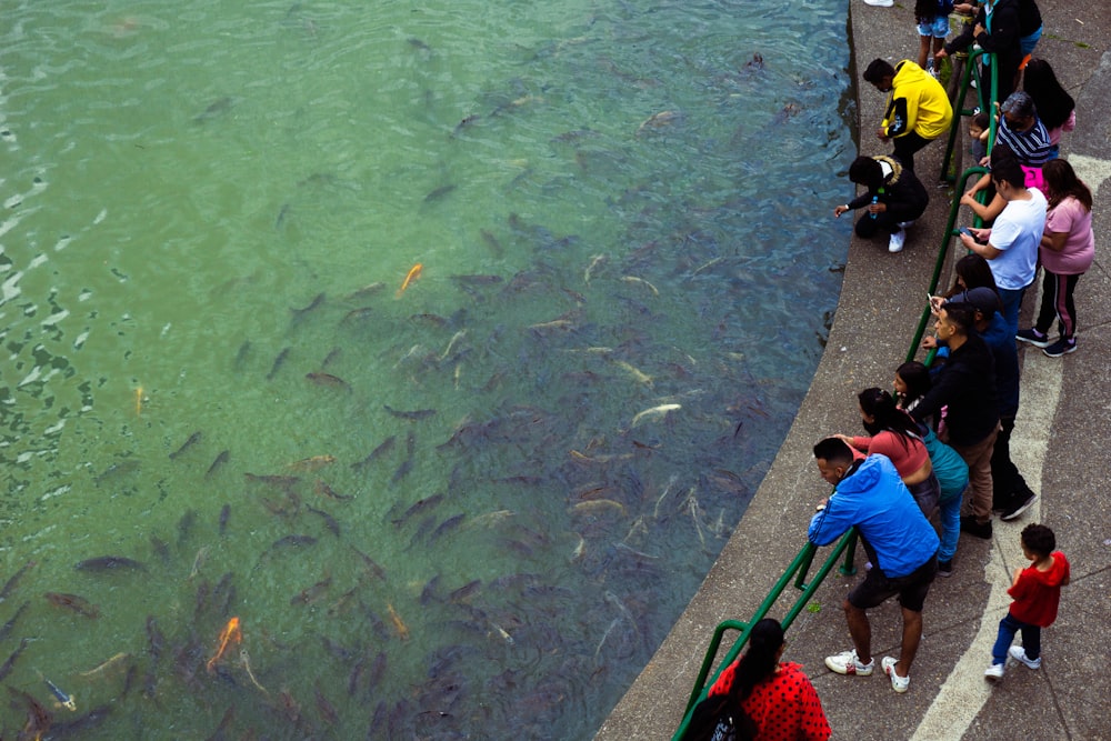 a group of people standing next to a body of water