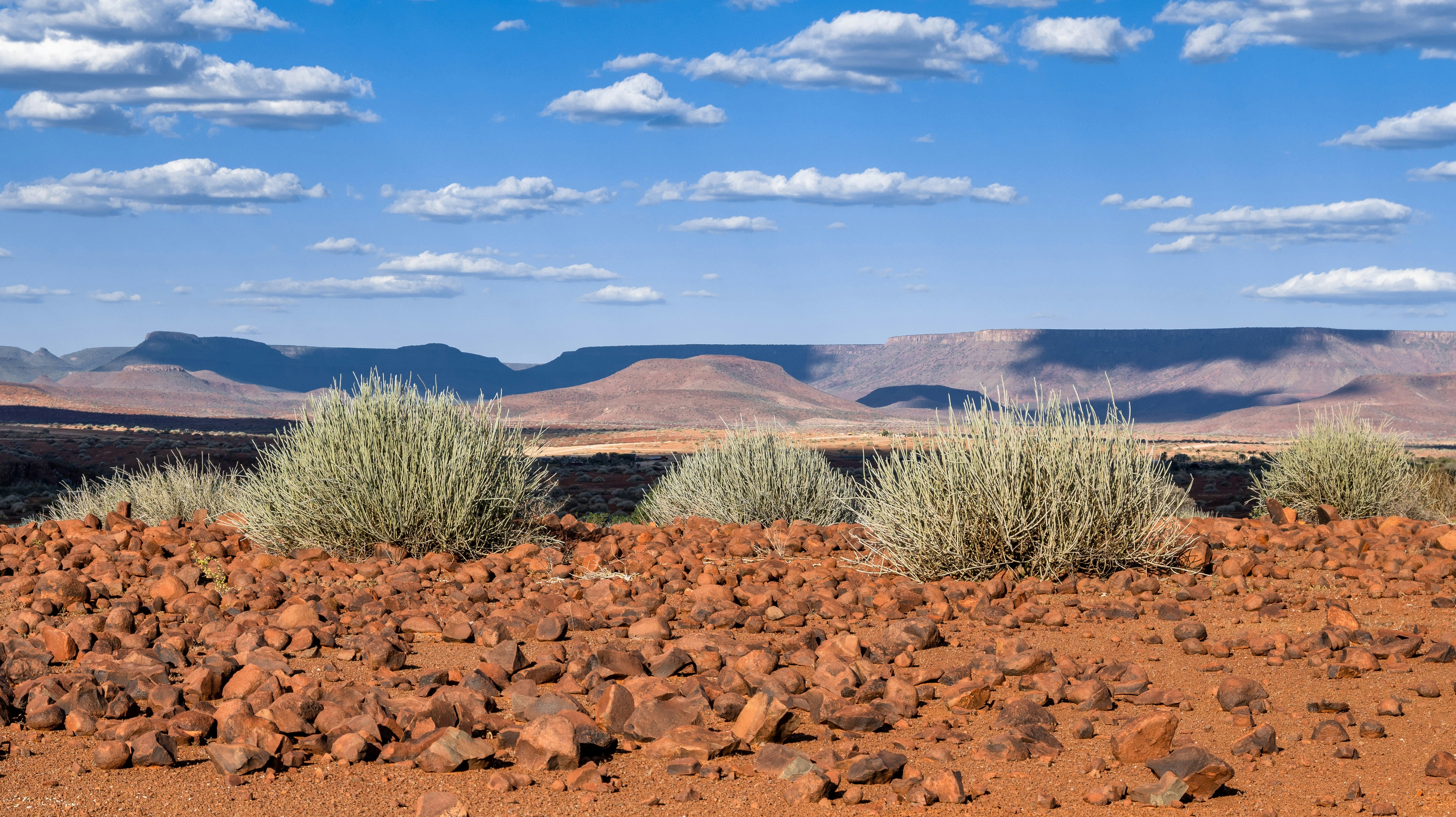 a desert landscape with mountains in the background