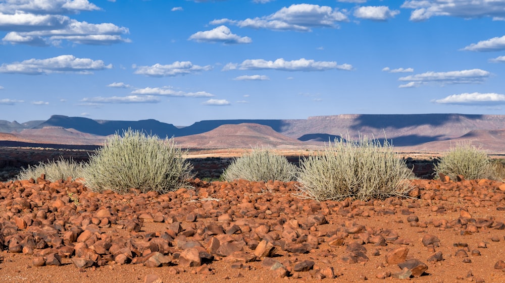 a desert landscape with mountains in the background