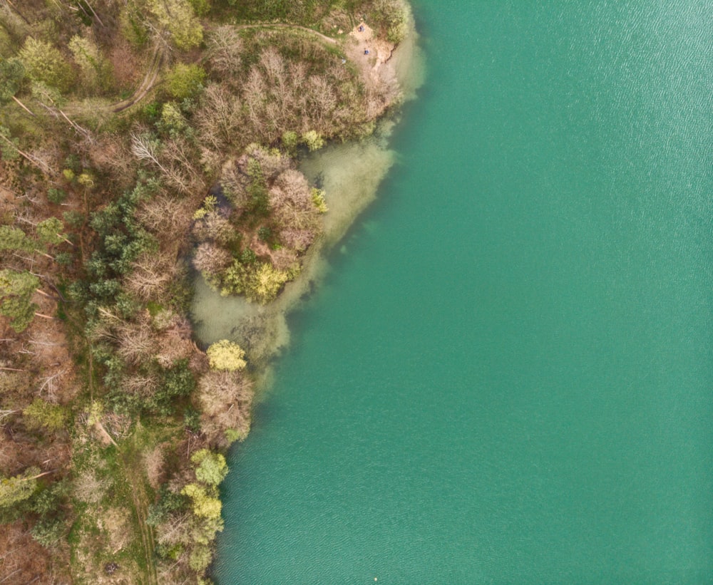 an aerial view of a body of water surrounded by trees