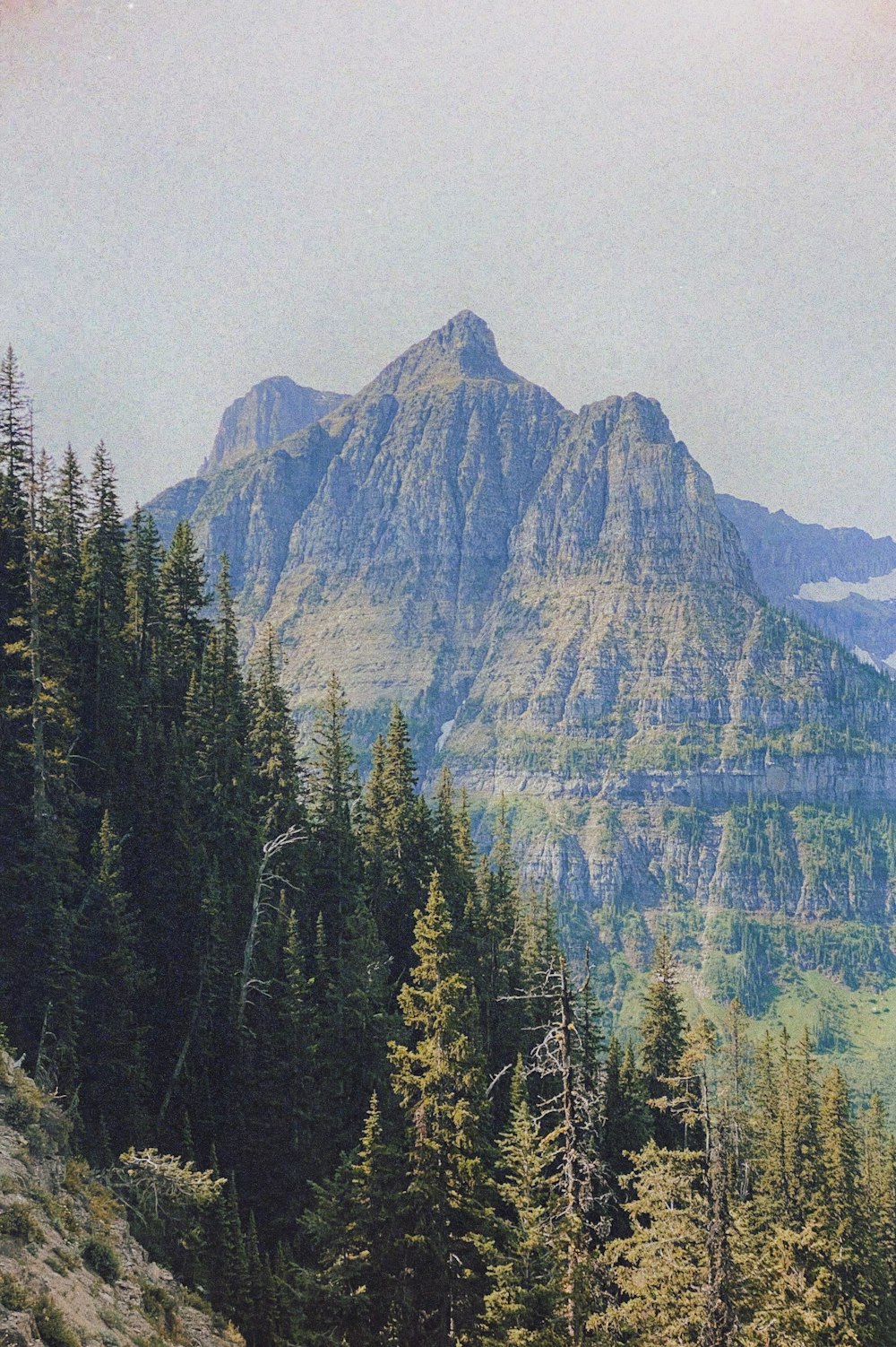 a view of a mountain range with trees in the foreground