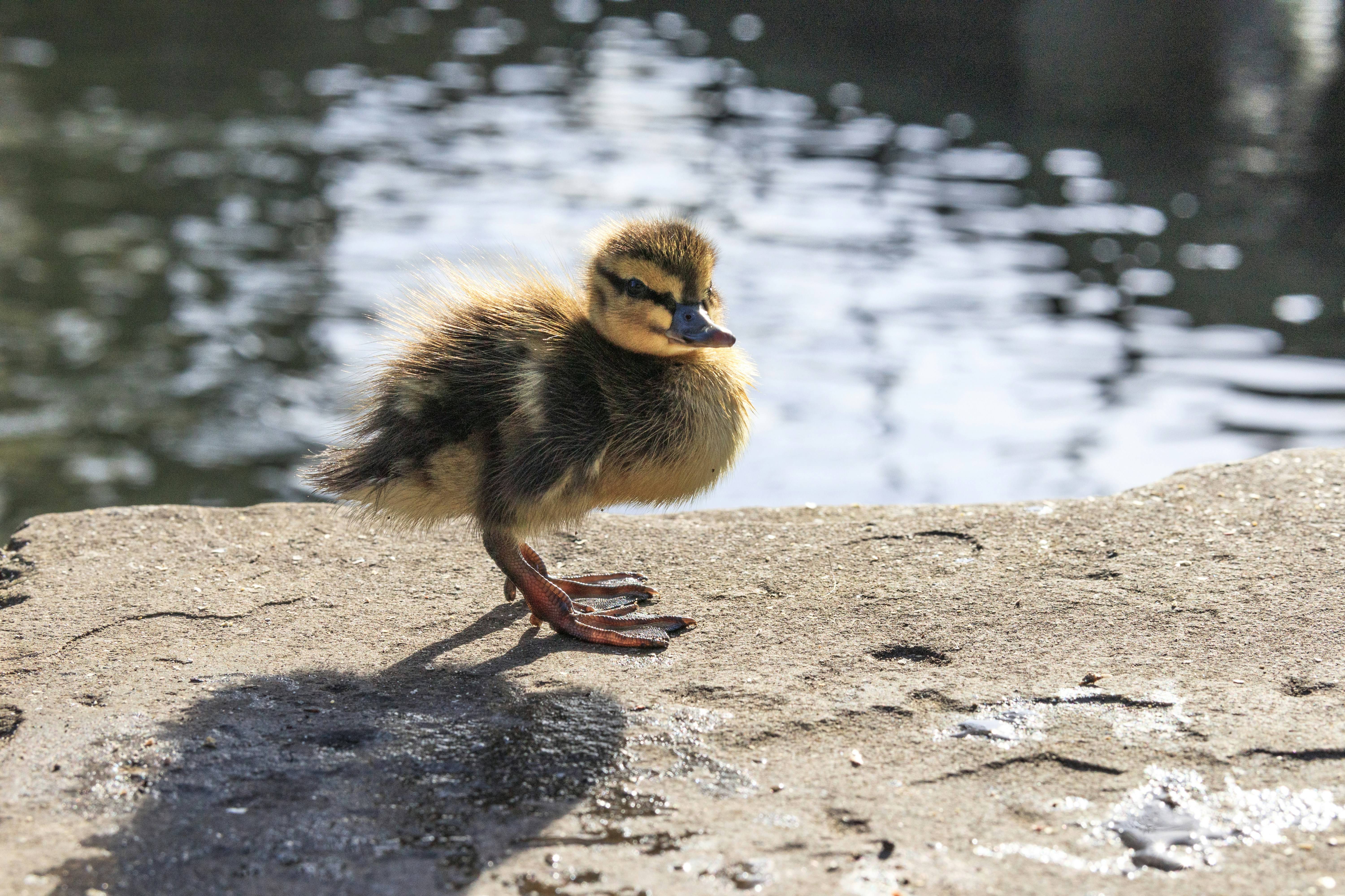 Photo by grievek1610begur