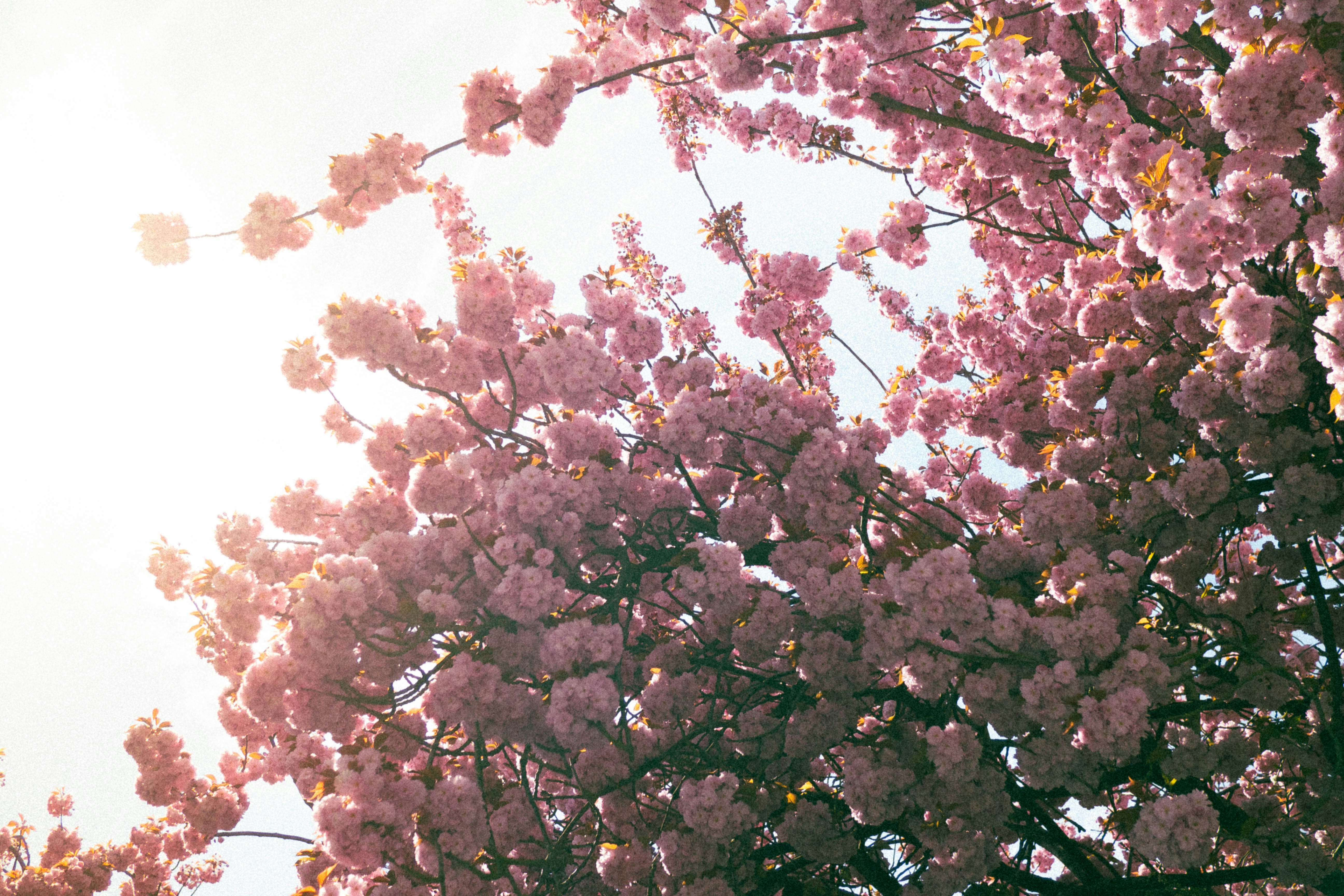 Photo by sirisvisual