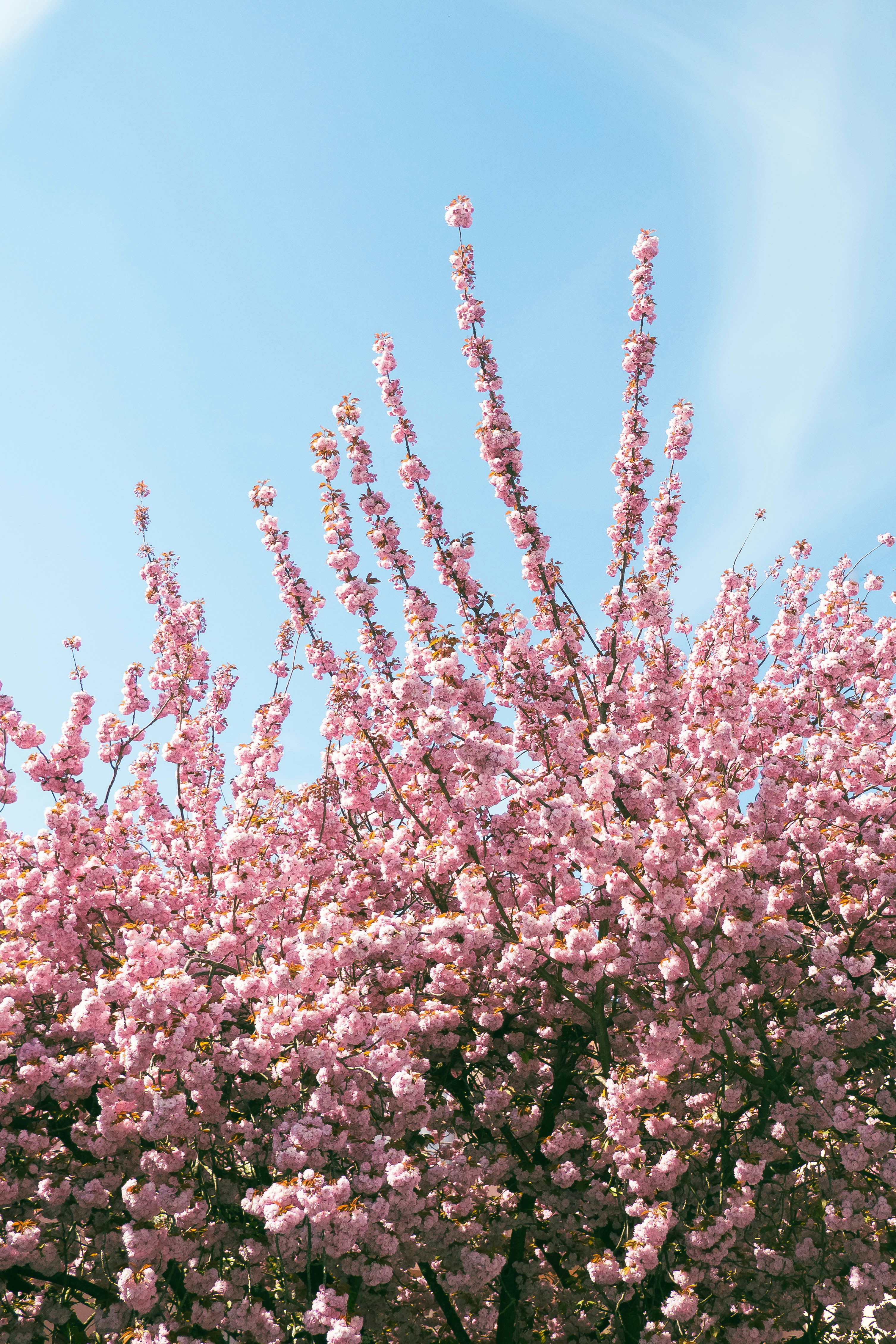 Photo by sirisvisual