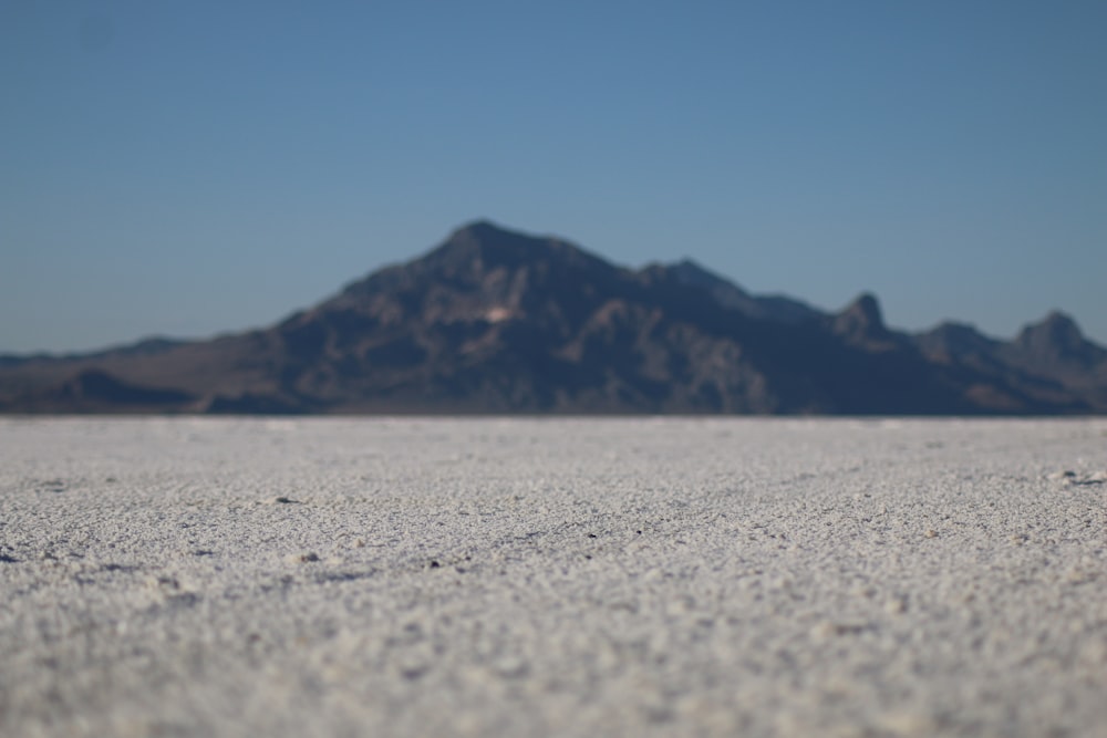 a desert landscape with a mountain in the background