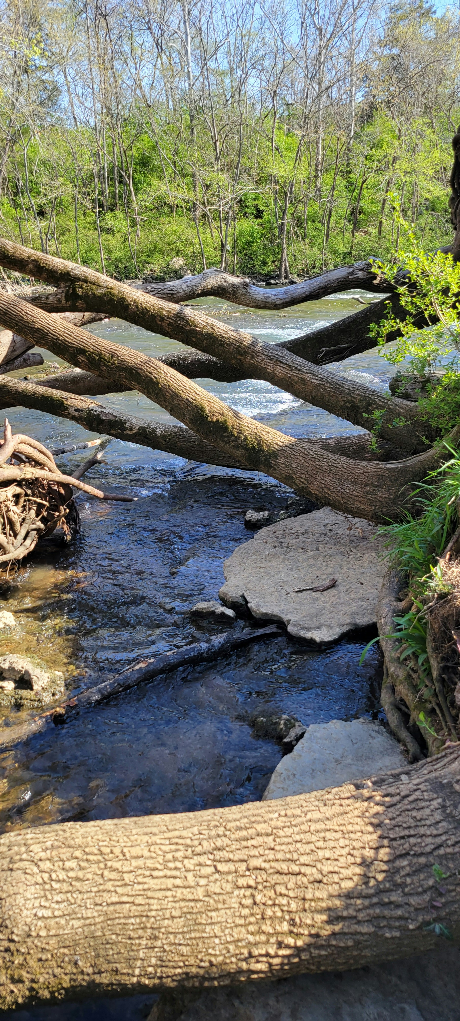 Photo by sierra_williams00