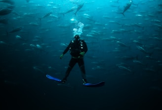 A scuba diver is submerged underwater surrounded by a large school of fish, creating an immersive and dynamic scene. The fish are swimming in various directions against a backdrop of deep blue water. The diver's flippers are in sharp contrast due to their bright color, and streams of bubbles can be seen rising from the diver's mask.