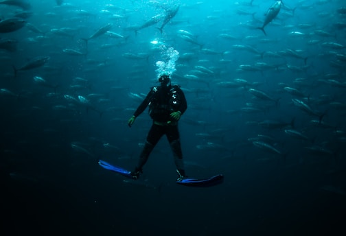 A scuba diver is submerged underwater surrounded by a large school of fish, creating an immersive and dynamic scene. The fish are swimming in various directions against a backdrop of deep blue water. The diver's flippers are in sharp contrast due to their bright color, and streams of bubbles can be seen rising from the diver's mask.
