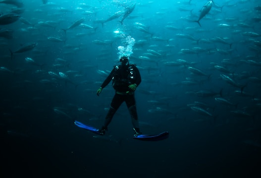 A scuba diver is submerged underwater surrounded by a large school of fish, creating an immersive and dynamic scene. The fish are swimming in various directions against a backdrop of deep blue water. The diver's flippers are in sharp contrast due to their bright color, and streams of bubbles can be seen rising from the diver's mask.