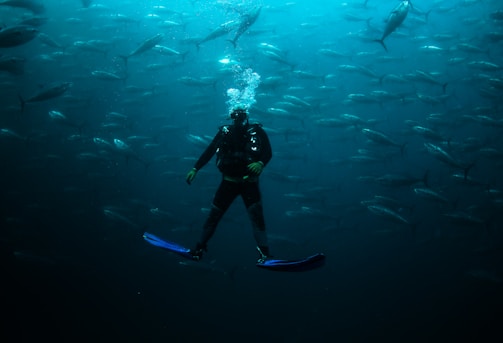 A scuba diver is submerged underwater surrounded by a large school of fish, creating an immersive and dynamic scene. The fish are swimming in various directions against a backdrop of deep blue water. The diver's flippers are in sharp contrast due to their bright color, and streams of bubbles can be seen rising from the diver's mask.