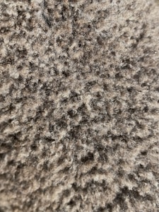 Wall-to-Wall Carpet