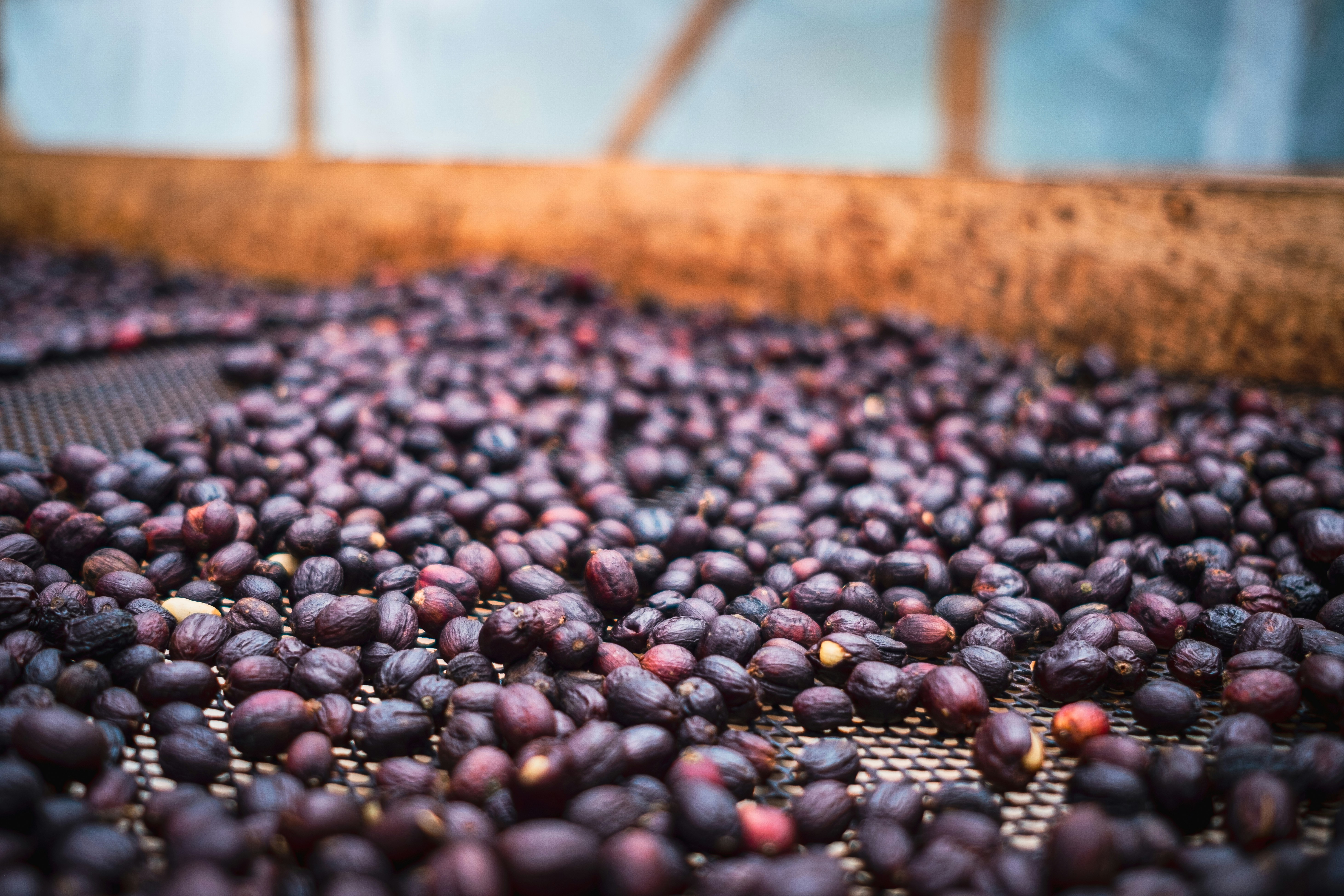 a bunch of grapes that are sitting on a table, 