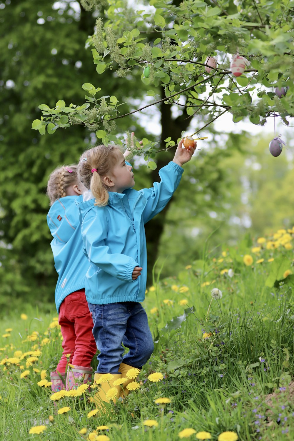 two young children picking fruit from a tree