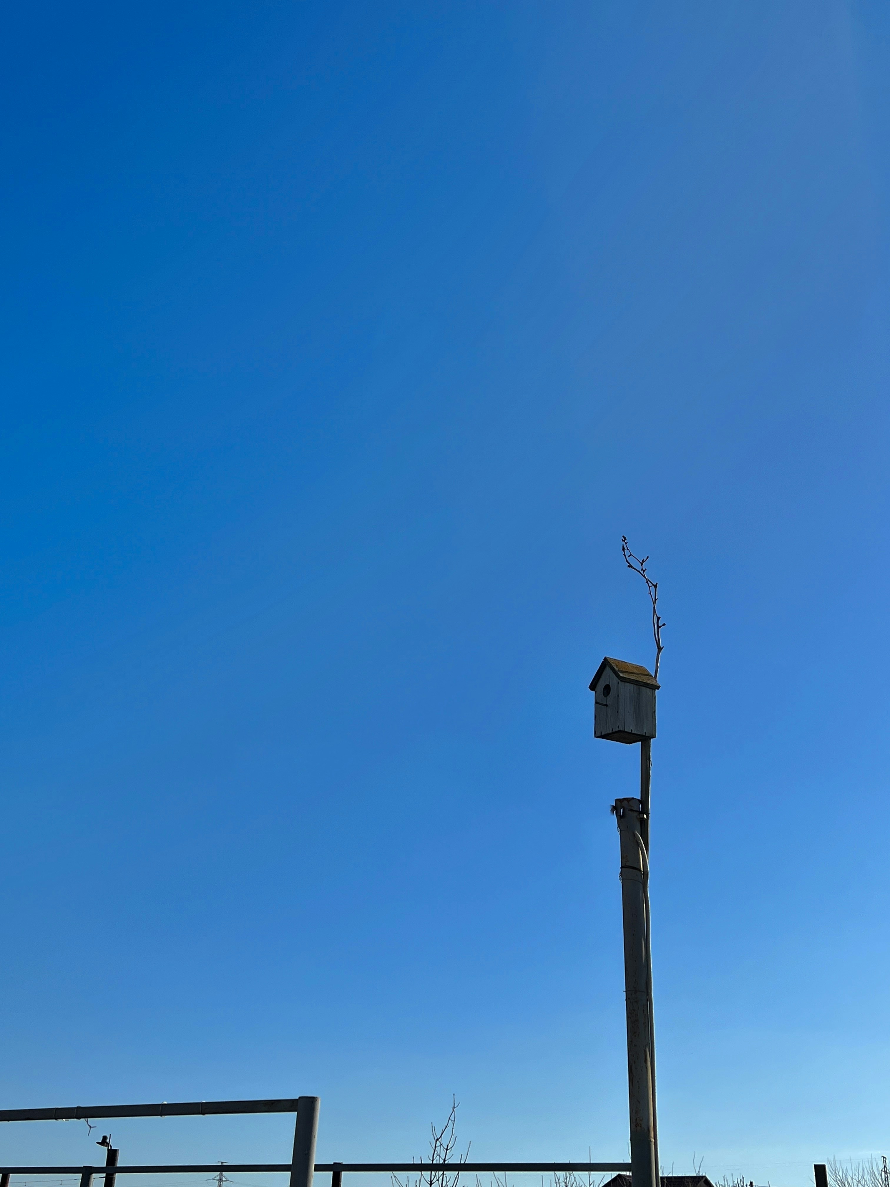 Photo by pinkpony2000