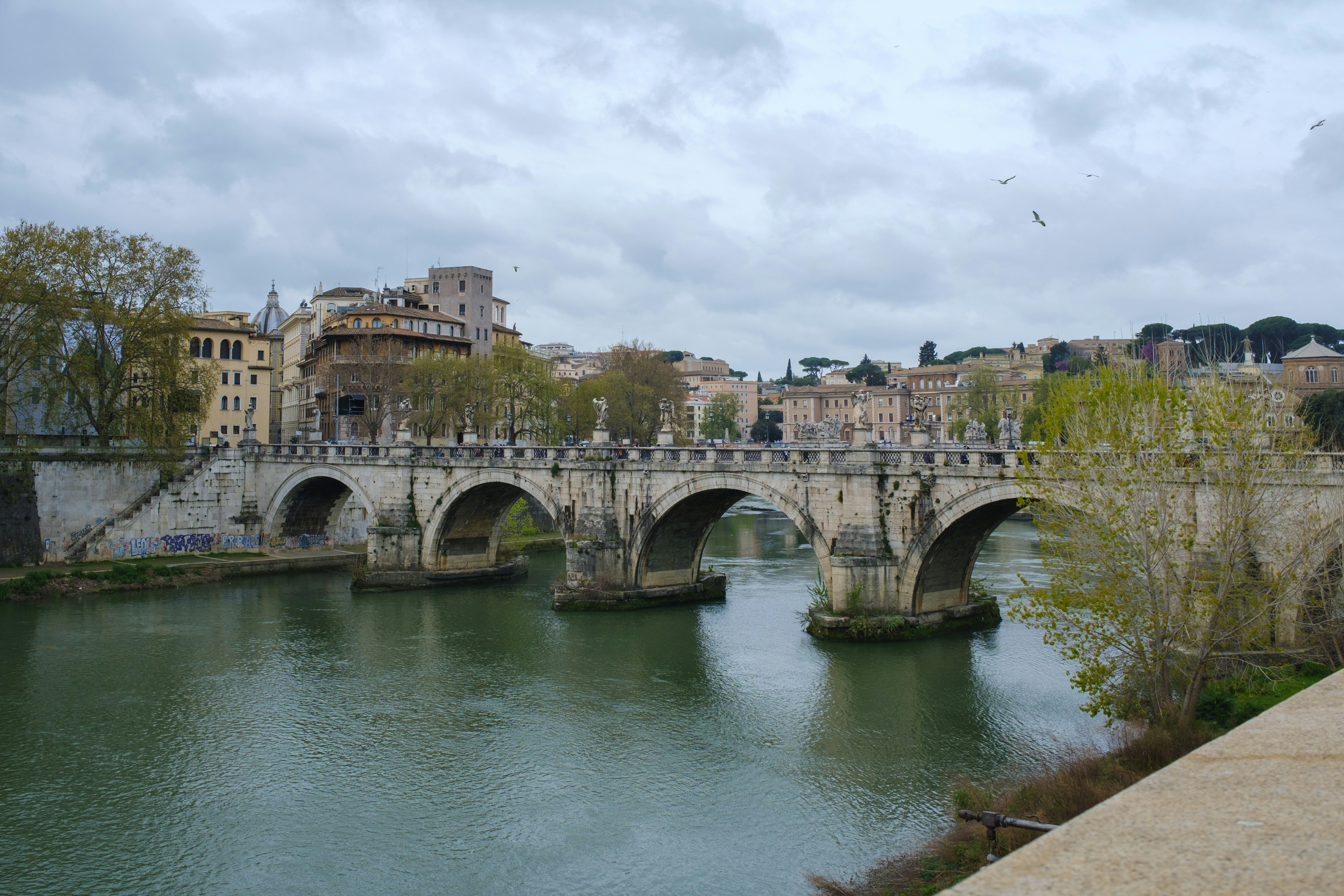 Photo by jose_maria_sava