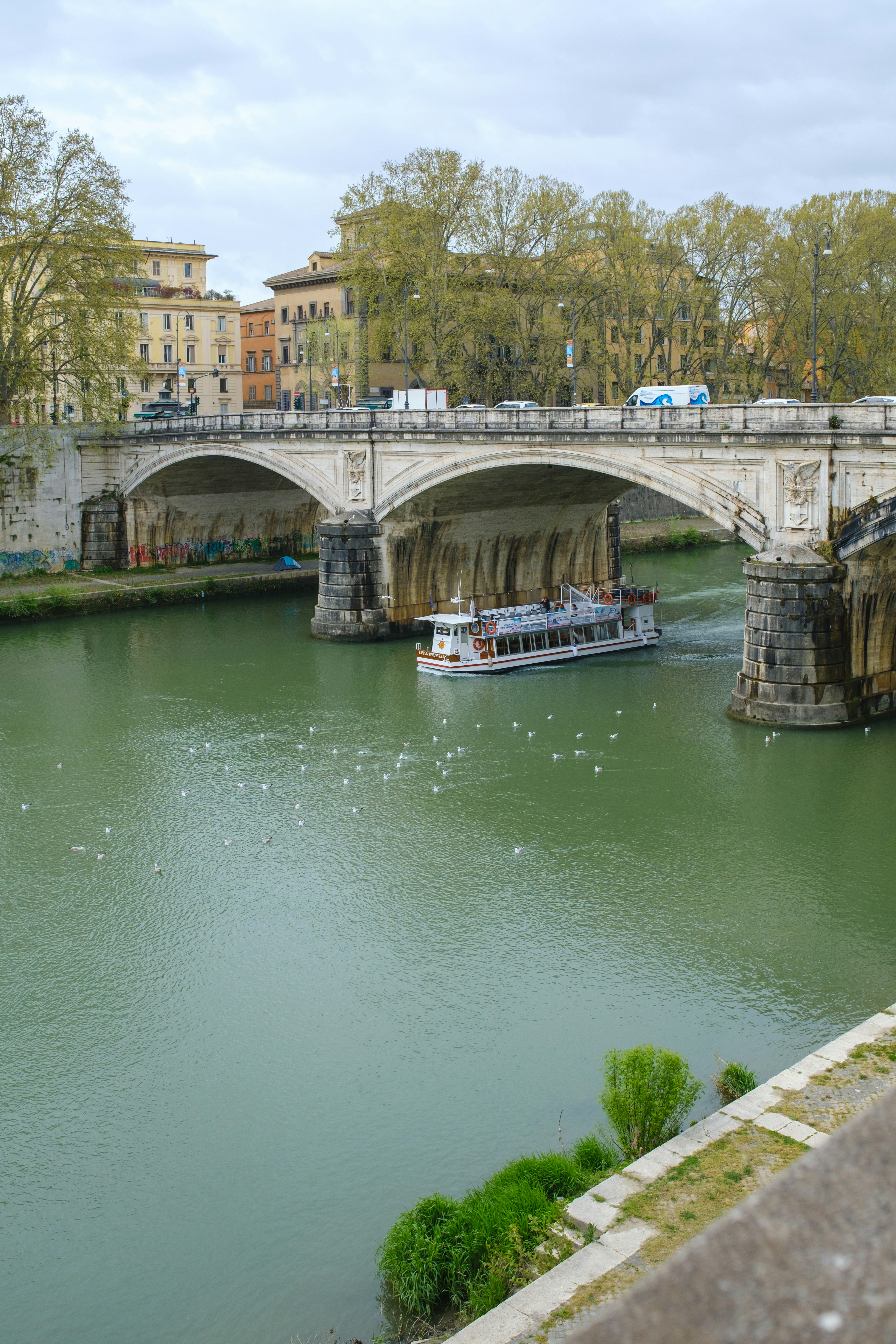 Photo by jose_maria_sava