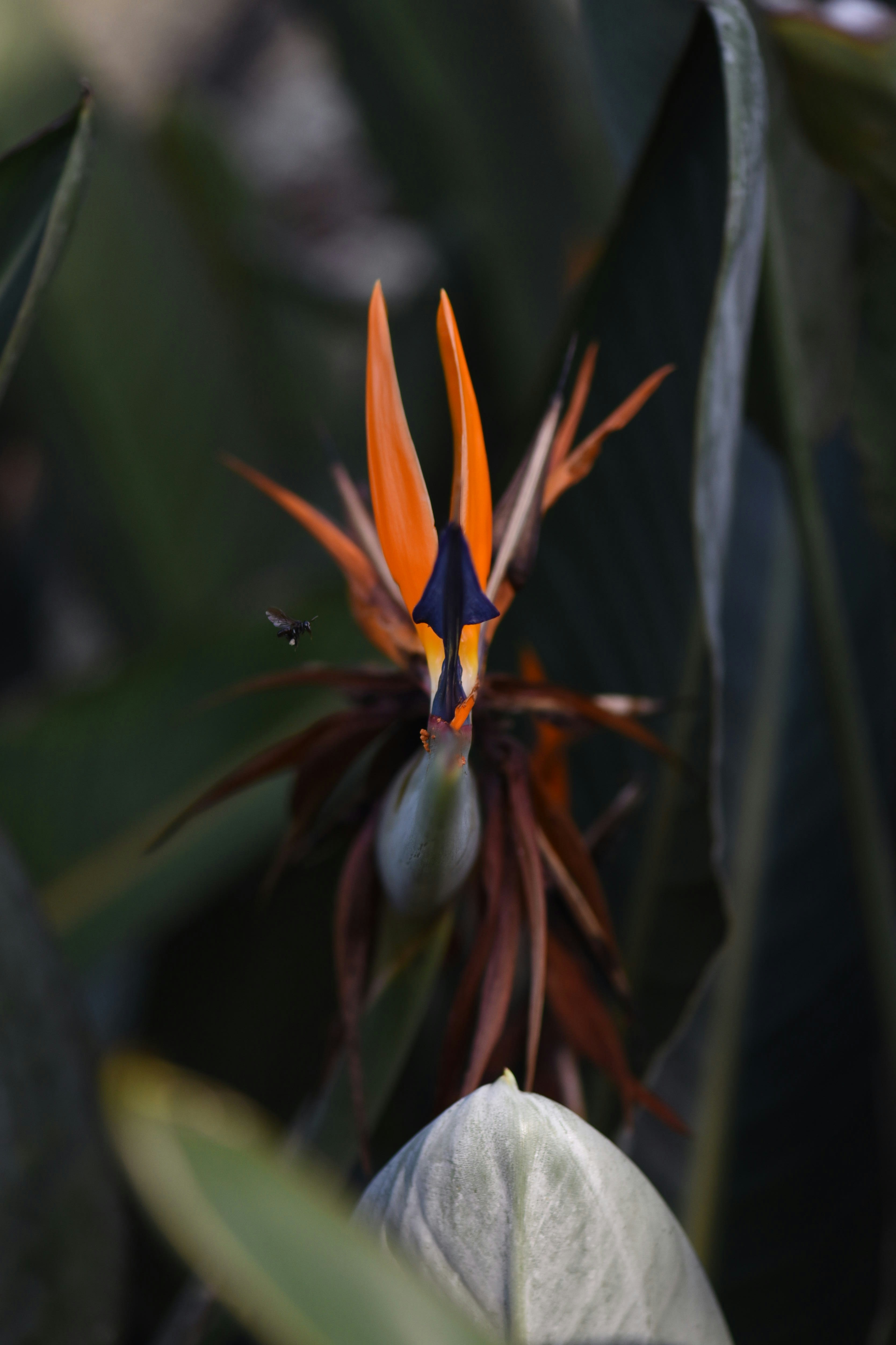 Photo by alexandrastam