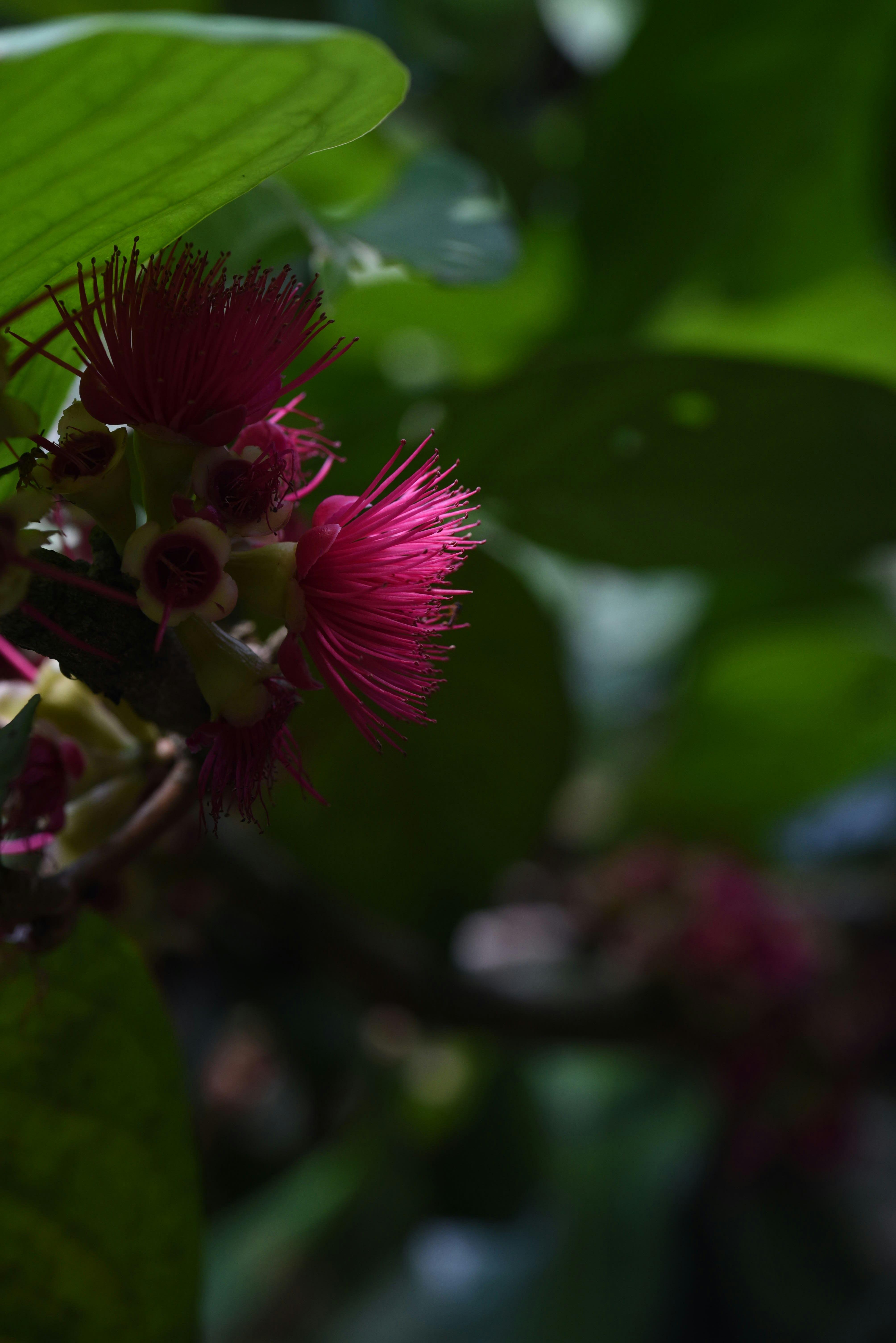 Photo by alexandrastam