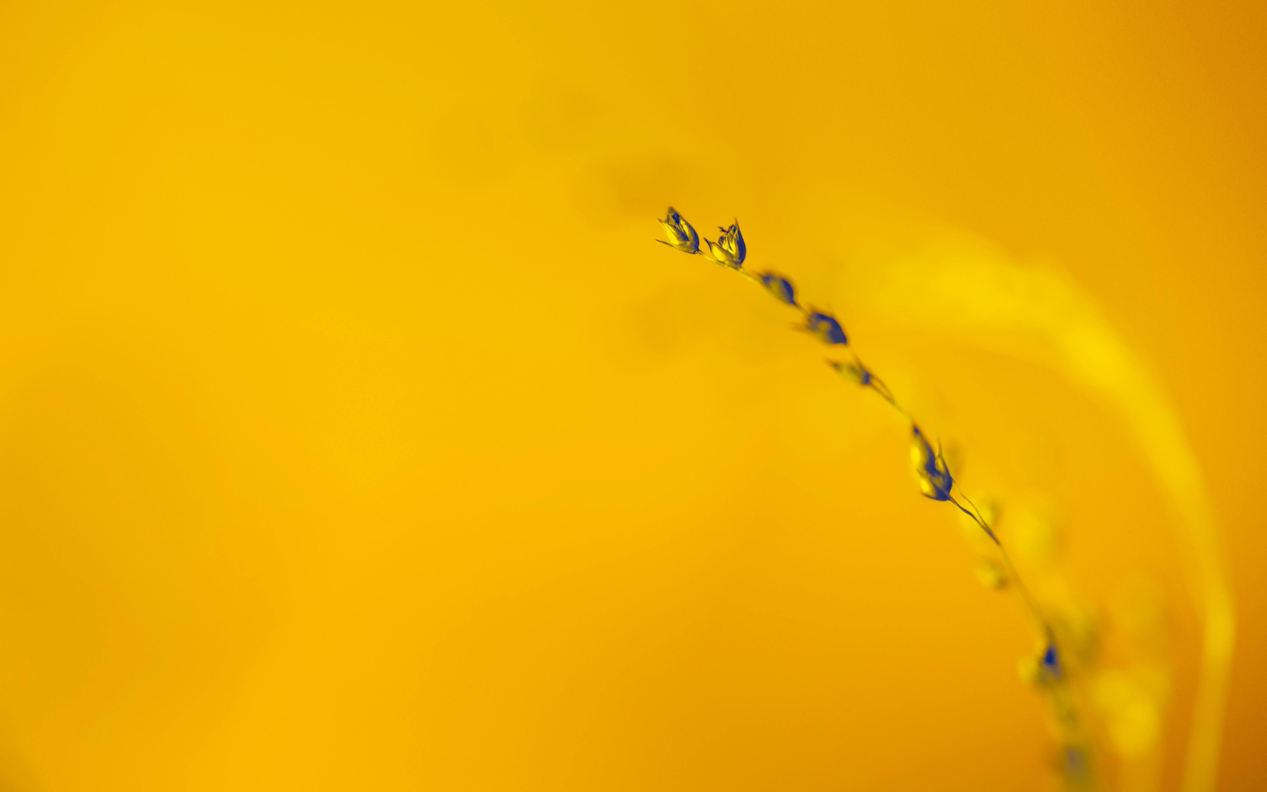 Photo by marekpiwnicki