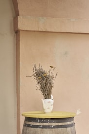 Photo 1649618891791 8eae700ccd56?q=85&w=275&h=275&fit=crop