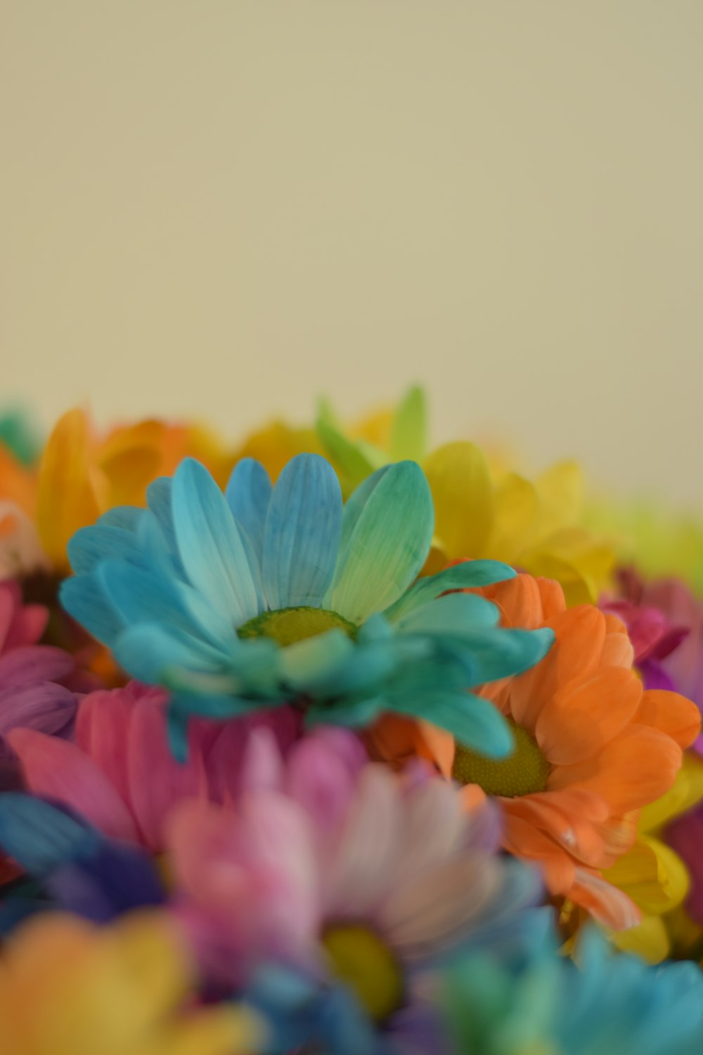 a bunch of colorful flowers sitting on top of a table