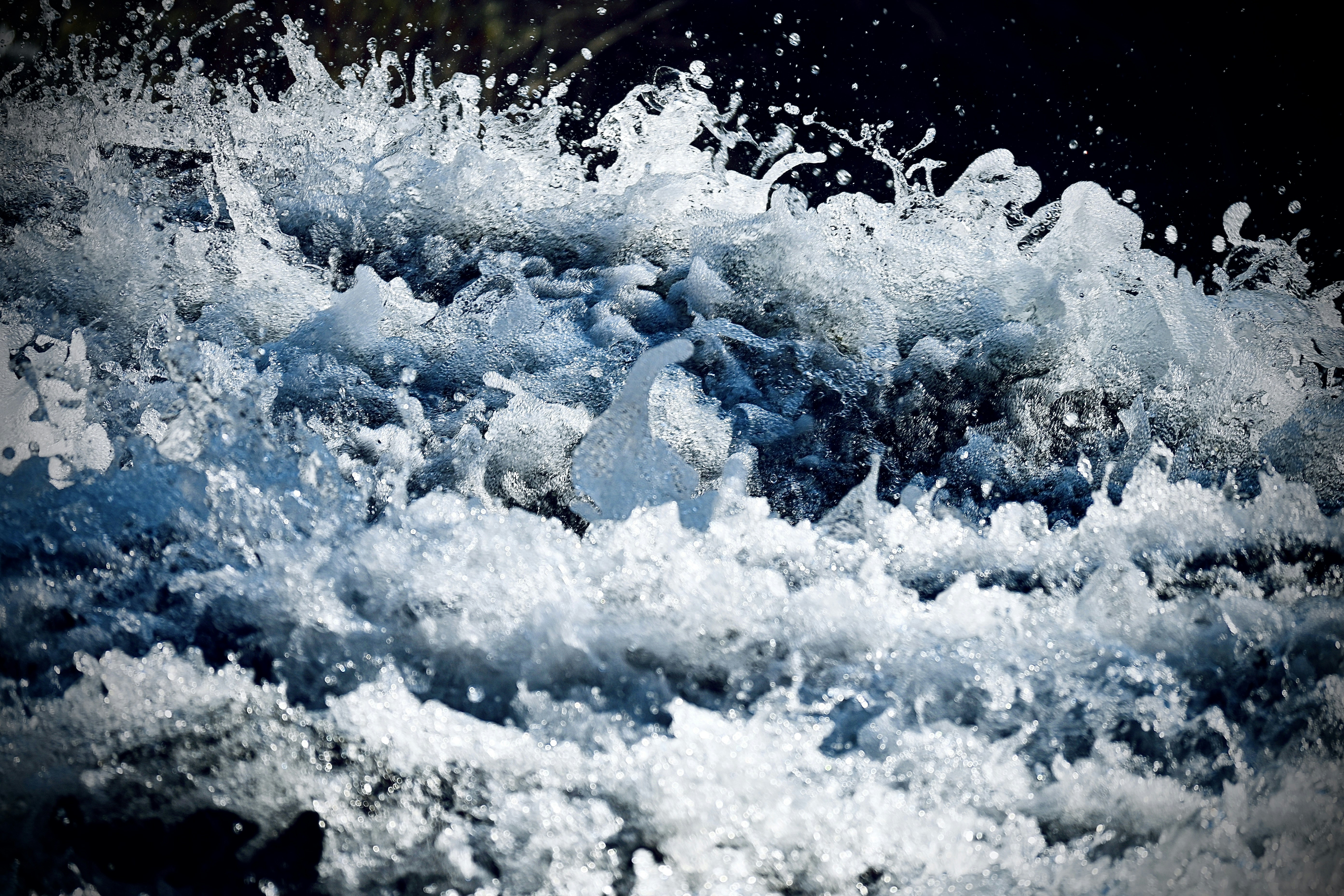 Photo by vijetha_surakanti