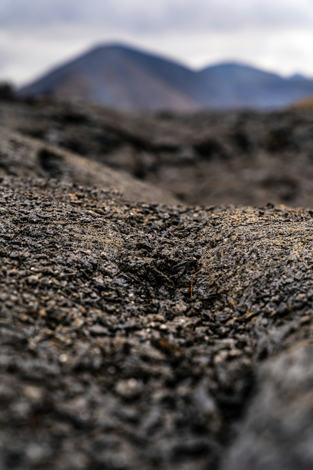 a close up of a dirt surface with mountains in the background
