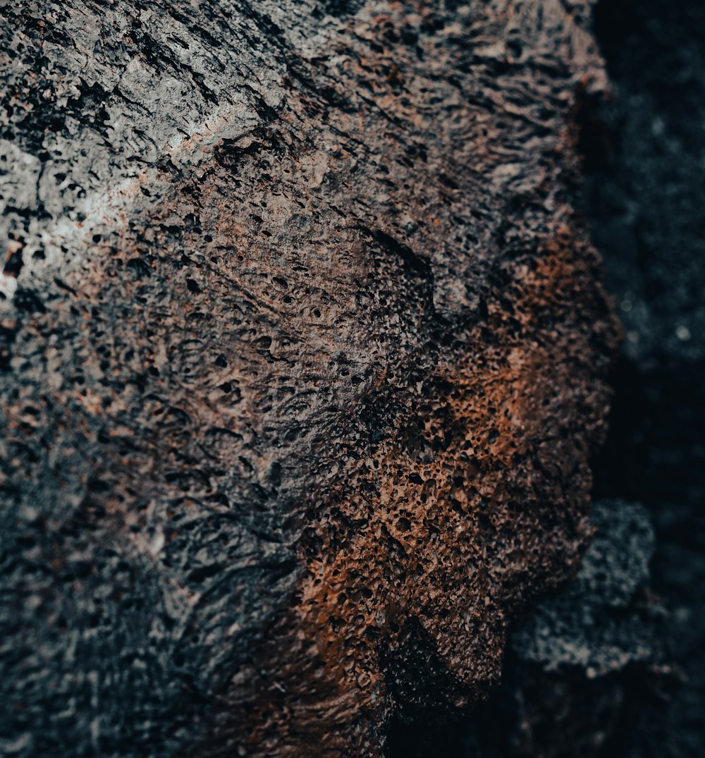 a close up of a rock with dirt on it