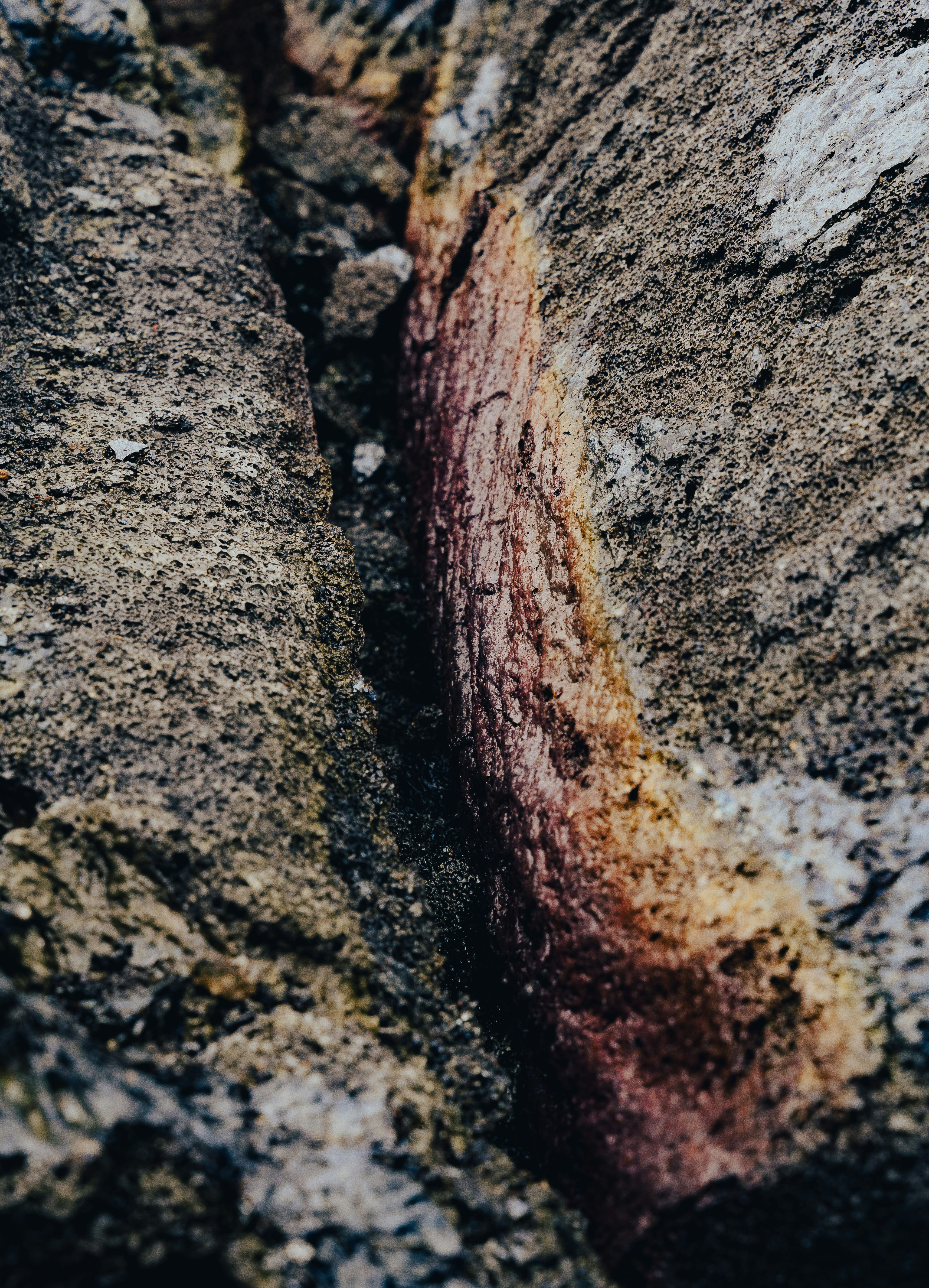 um close up de uma rachadura em uma rocha