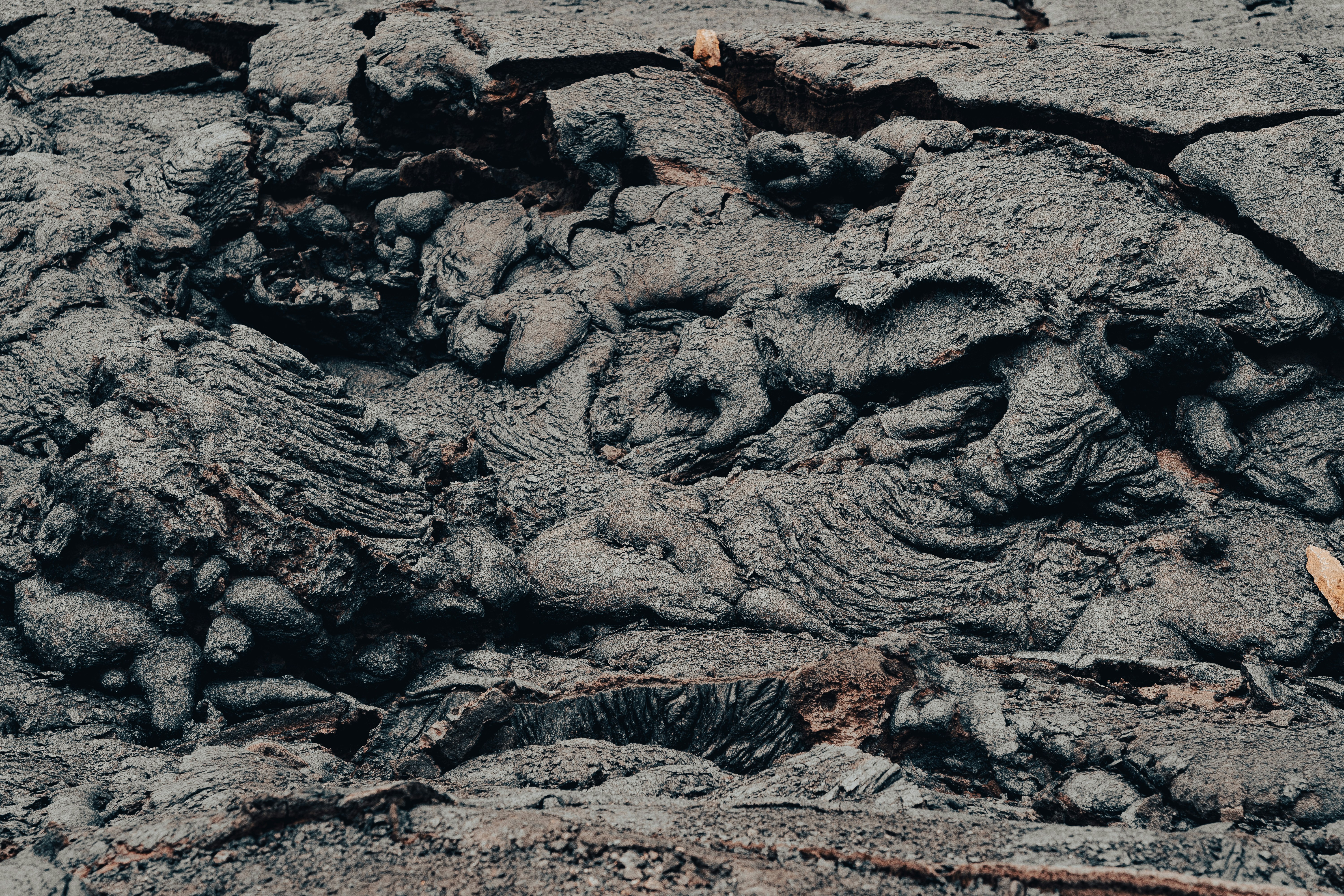 a close up of a rock formation with a plant growing out of it, Lava "artefacts" of Fagradalsfjall volcano, Iceland,  photographed from close distance