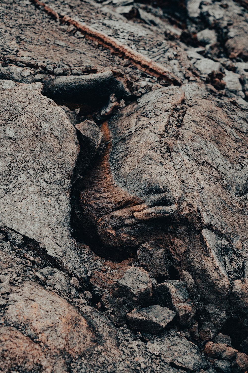 a rock with a lizard crawling out of it