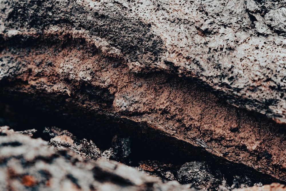 a close up of a rock face with dirt on it