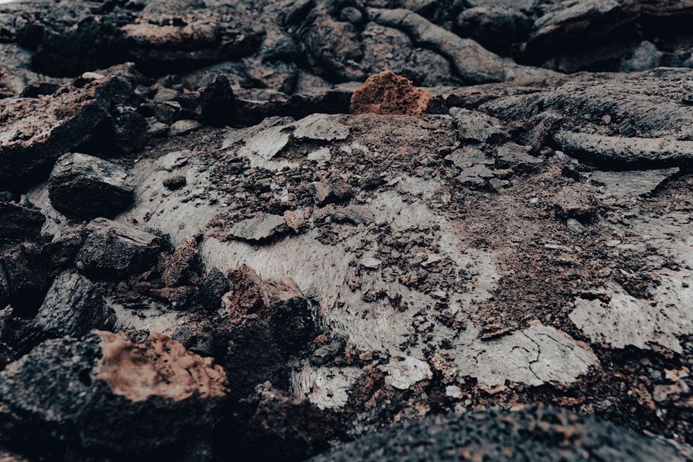 a close up of rocks and dirt on a beach