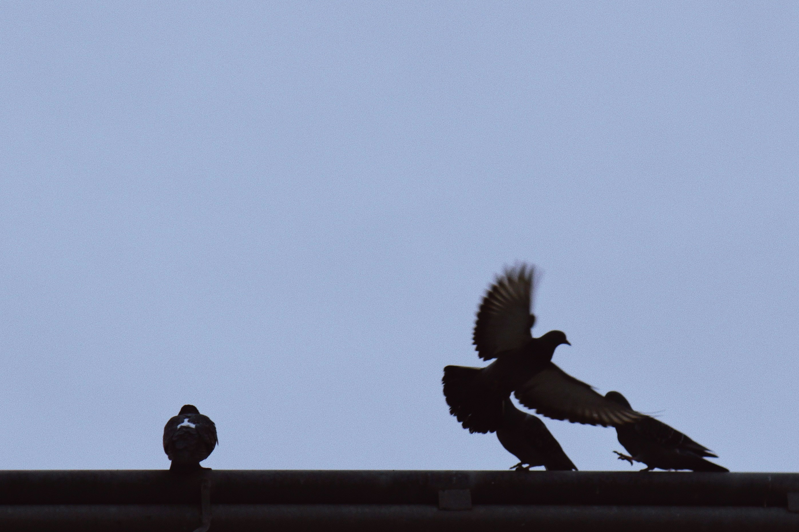 Photo by sesambrotchen