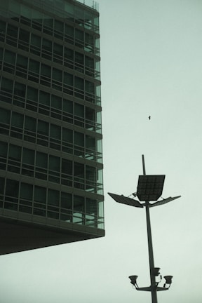 A modern glass and steel building with grid-like windows is positioned on the left side, juxtaposed against a tall lamppost with solar panels and surveillance cameras. A solitary bird is captured mid-flight against the overcast sky.