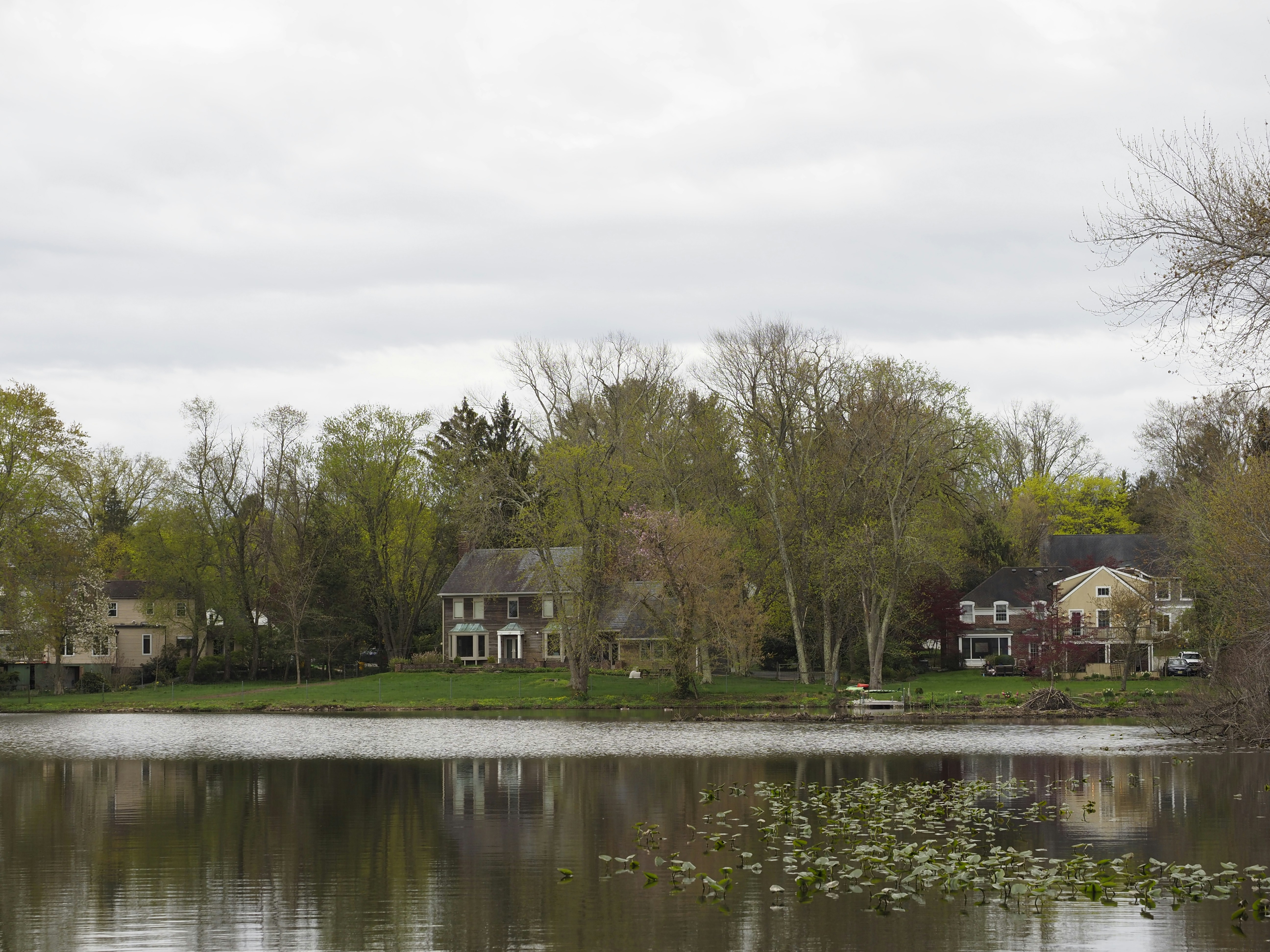 Photo by sergey_photos