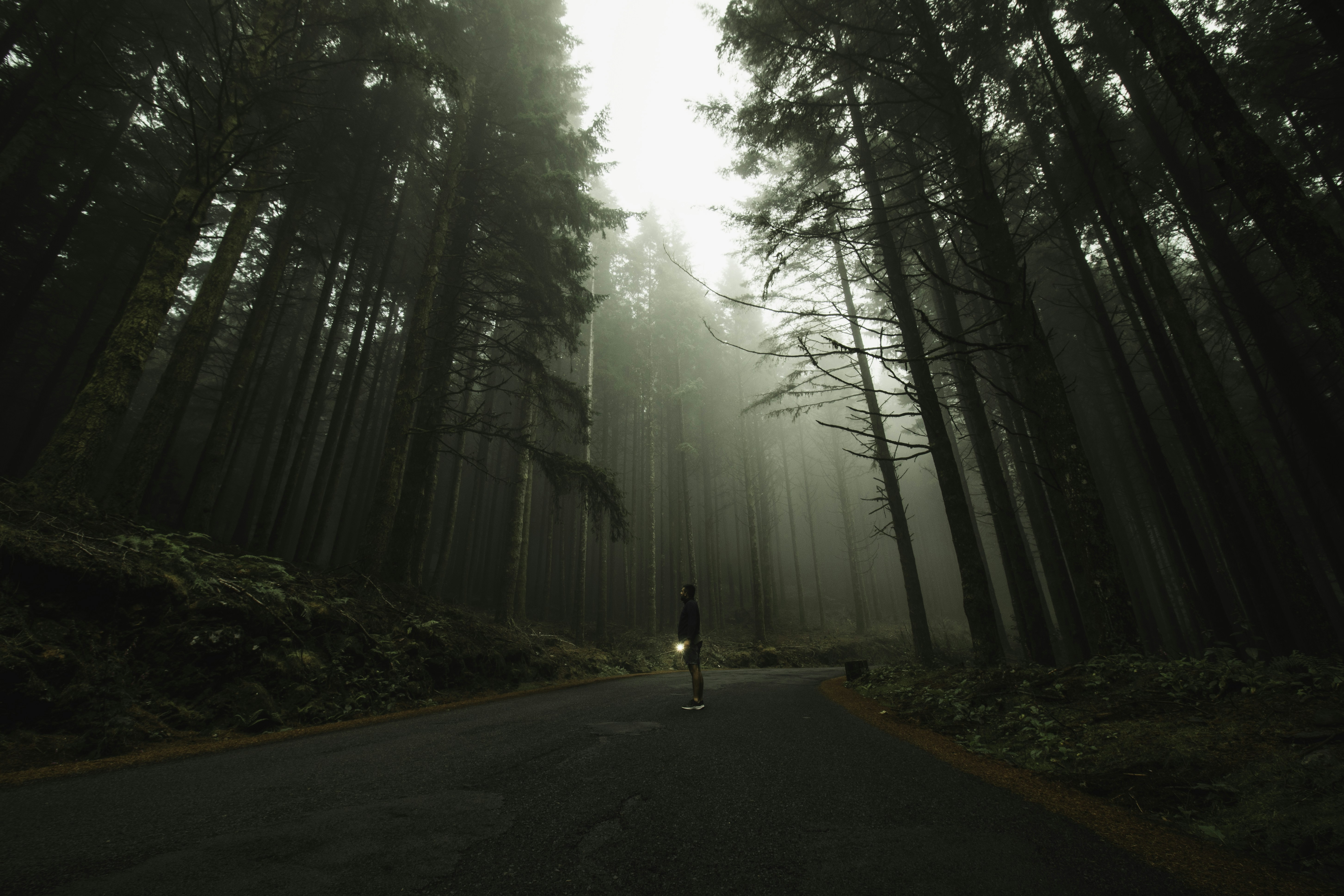 Photo by reinaldogaranito