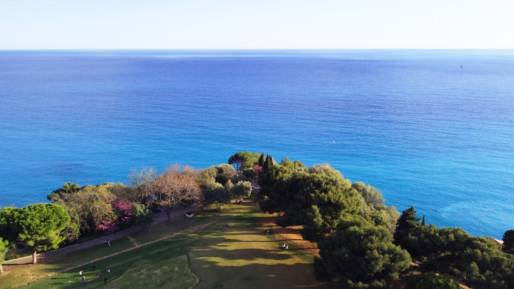 an aerial view of a grassy field next to the ocean