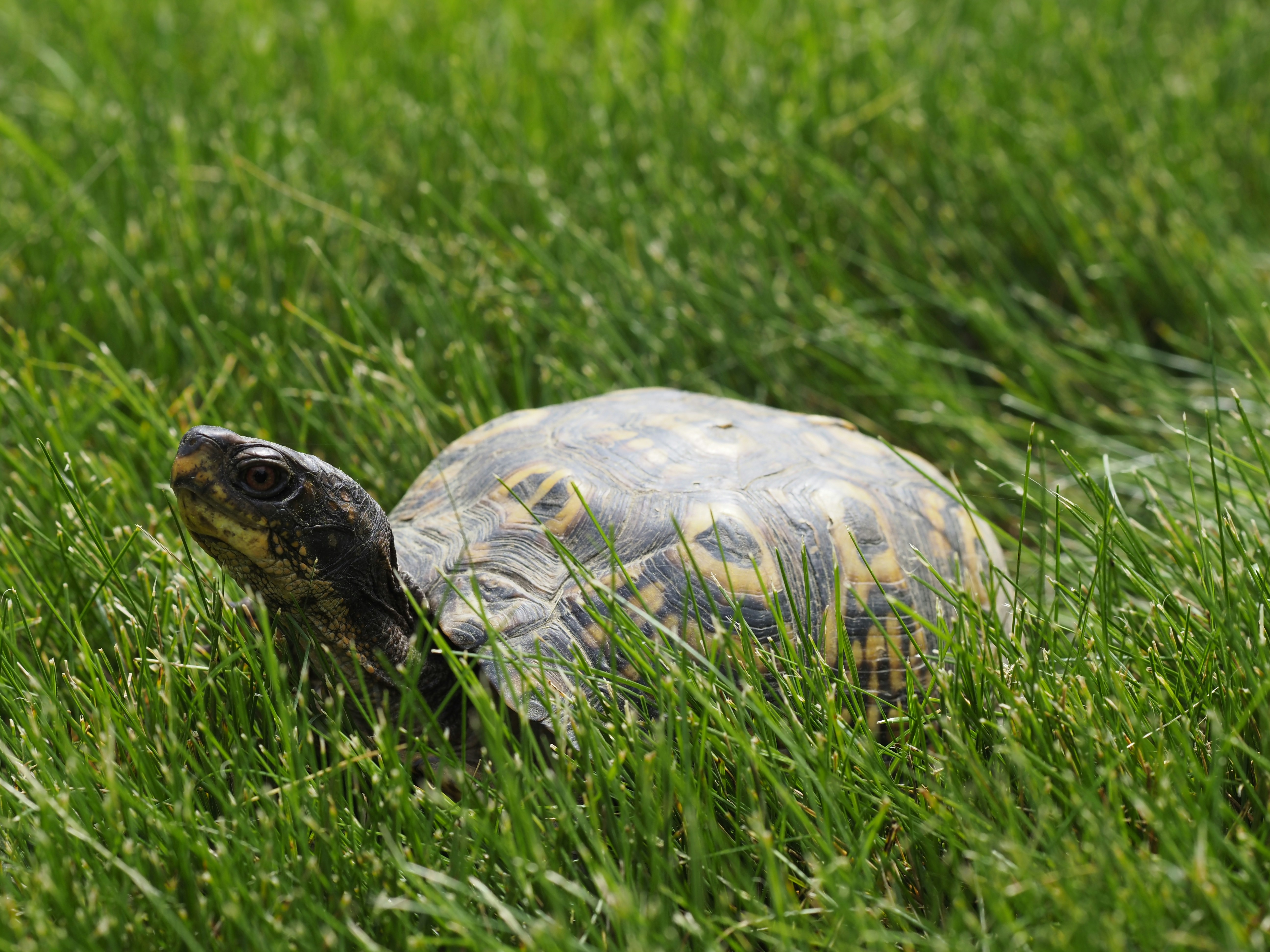 Photo by sergey_photos