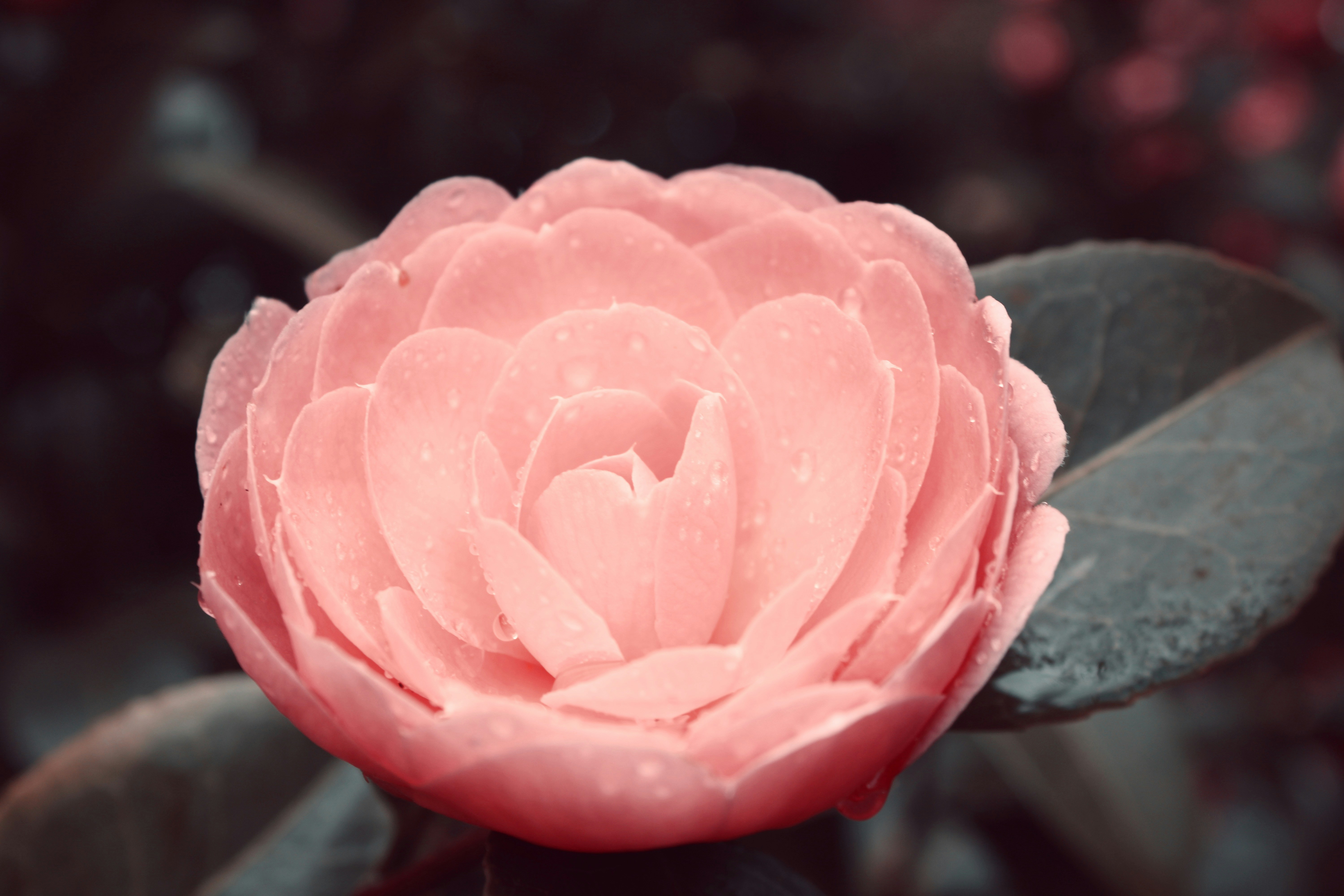 Photo by sadiecoulter