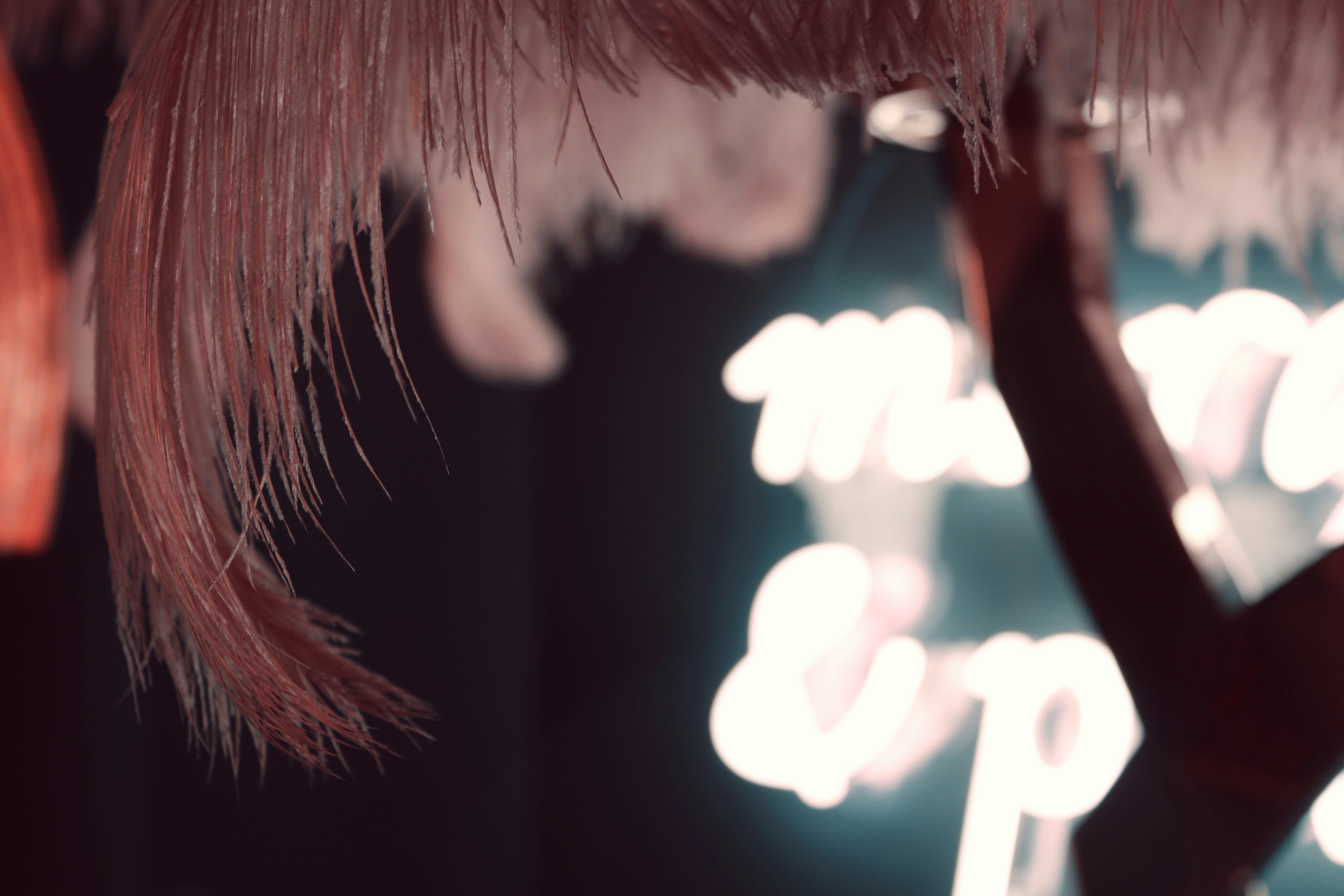 Photo by sadiecoulter